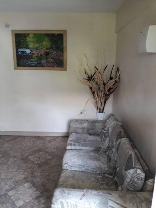 Home Style Apartment J Roseau Buitenkant foto